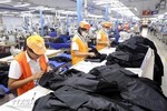 Hà Nội: new enterprises rise 20 per cent in July