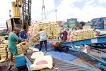 Việt Nam likely earn $5b from rice exports this year