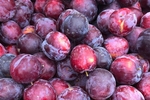 Australian plums to be available in Việt Nam