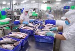 Việt Nam's seafood exports continue recovery