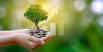 Green investment funds forecast to grow in Việt Nam