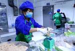 Hà Nội strengthens food safety control through value chains