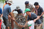 Rising white-leg shrimp prices boost Trà Vinh farmers' incomes