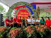 Central Retail promotes demand for Bắc Giang's early ripe lychees