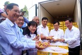 Cần Thơ exports 1.2 tonnes of special longan to the US