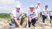 P&G and Central Retail Vietnam work to expand tree coverage in Việt Nam