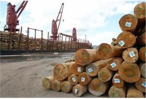 Lack of timber threatens wood industry