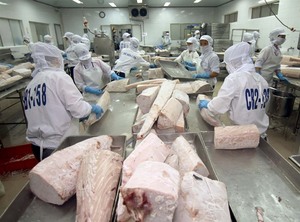 VN targets $7.1b seafood exports this year
