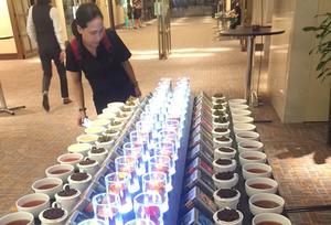 Tea maker Dilmah confident of growth in Viet Nam