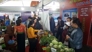 VN-China tourism fair opens in Quang Ninh