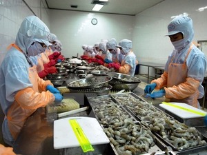 Ministry takes action in response to IUU fishing
