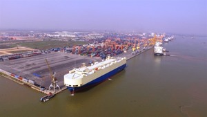 Firms shocked by rocketing Hai Phong port fees