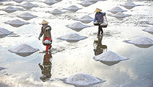 VN seeks opportunity to export salt to Indonesia