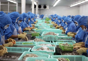 Shrimp export target ambitious, but achievable