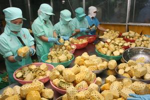 Canada to help boost VN’s food hygiene
