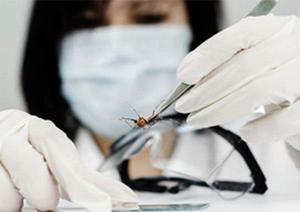 Siemens announces new immunoassay for Zika detection