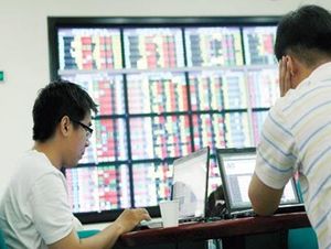 Investors must shape up to avoid losses: experts
