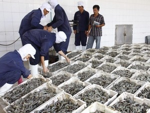 Delta raw shrimp prices soar