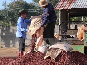 10 countries agree to protect Dak Lak coffee brand