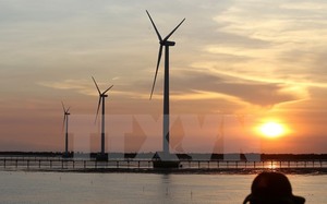 Bac Lieu attracts investors for renewable energy