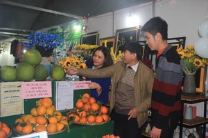 Firms showcase goods for Tet in Quang Tri