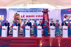 Work starts on fruit processing centre in Gia Lai