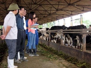 Funds crucial for supervision of raw milk quality