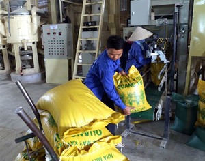 VN sees rice export growth by year-end