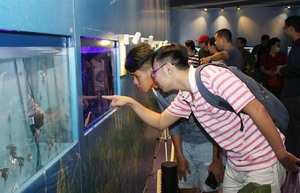 HCM City eyes ornamental fish breeding route to agricultural growth