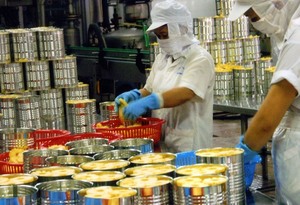 EC pushes for approval of FTA with Viet Nam