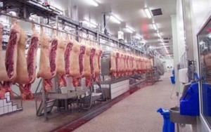 VN announces new standards for chilled meat