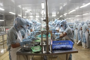 VN to introduce criteria evaluating health of enterprises