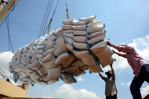 Vinafood 1, 2 win bid to supply rice to Philippines