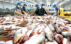 Demand for VN seafood on the rise