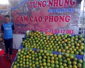 Fair of industrial and consumer goods opens in Hoa Binh