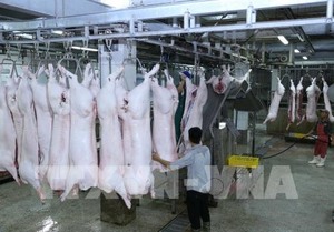 MARD: Pork supply is high enough to meet demand