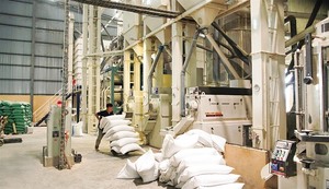 Australian firm acquires Vietnamese processing mill