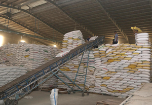 Rice exports rise 14% in value