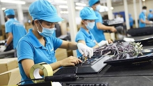 VN drops on WB business index