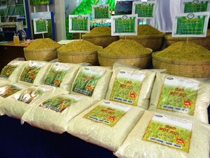 Chinese rice importers visit Viet Nam to find new partners