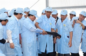 High-tech tra fish farm launched in An Giang