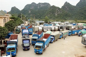 China takes top spot on VN’s list of importers