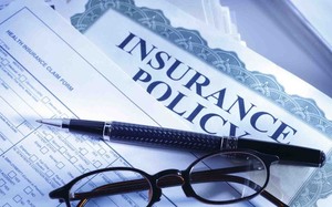 VN insurance benefits from foreigners