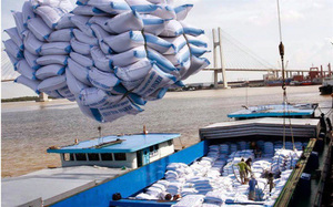 Viet Nam expects to export 6.5 million tonnes of rice in 2018