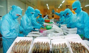 VASEP rejects DoC’s preliminary results on Vietnamese shrimp