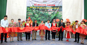 Ha Giang inaugurates organic tea plant