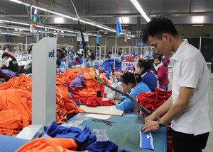 VN firms cosy up to Asia-Pacific partners