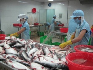 Tra fish industry grapples with export difficulties