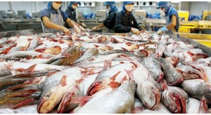 Seafood firm Hung Vuong to sell assets to offset losses