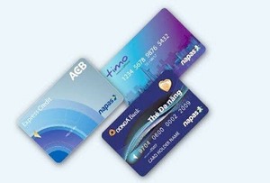 NAPAS completes set for domestic cards